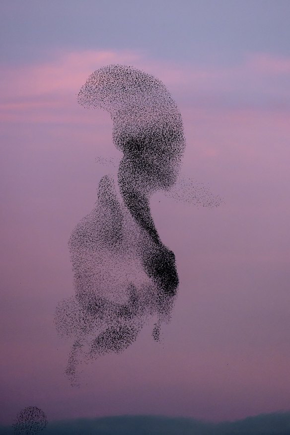 Black Sun #145, Rome.