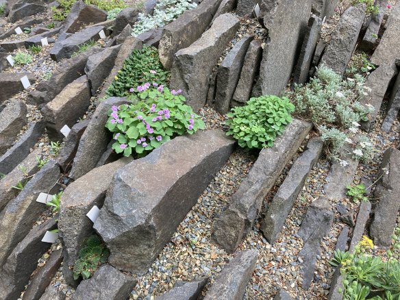Pieces of rock are placed so close together that there are only narrow slithers of planting space in between.