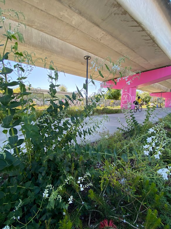 Woody meadows are being planted alongside railway lines, such as this one beside the Upfield line in Melbourne.