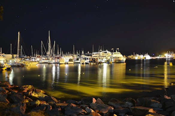 From cycling along coastal tracks to wildlife watching, here are 20 of the best reasons to visit Port Stephens.