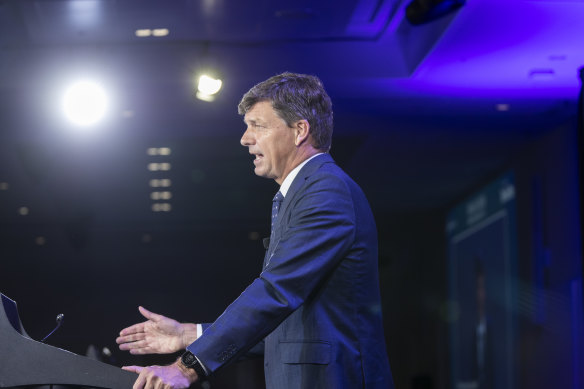 Energy and Emissions Reduction minister Angus Taylor has insisted that Australia is on course to meet its 2030 Paris targets. 