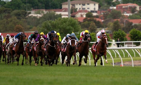 The Melbourne Cup field.