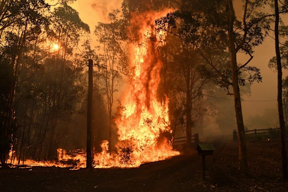 Michael Gate was doing his best solo against the fury of the Green Wattle fire in Orangeville when the cavalry arrived in the form of the VLAT.