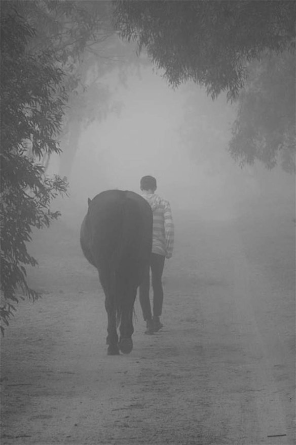 Early morning horsey cuddle in the heavy fog.