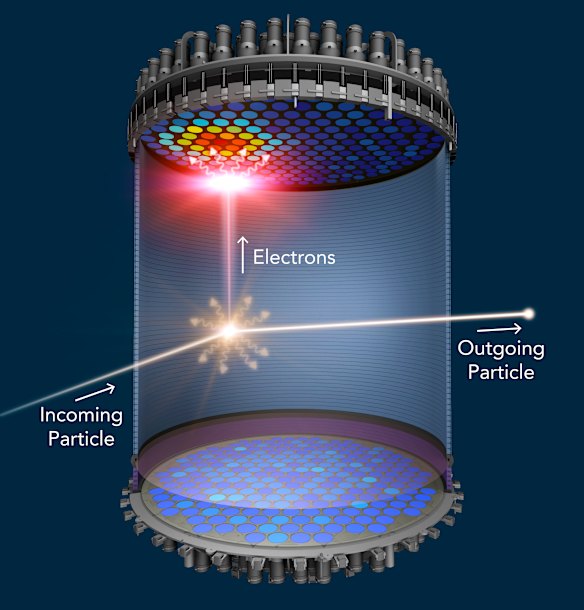 When a WIMP collides with a xenon atom, the xenon atom emits a flash of light and electrons.