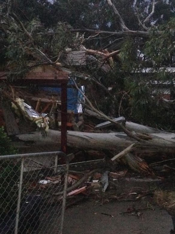 Melbourne weather: Wild wind storms leave 40,000 homes without power ...