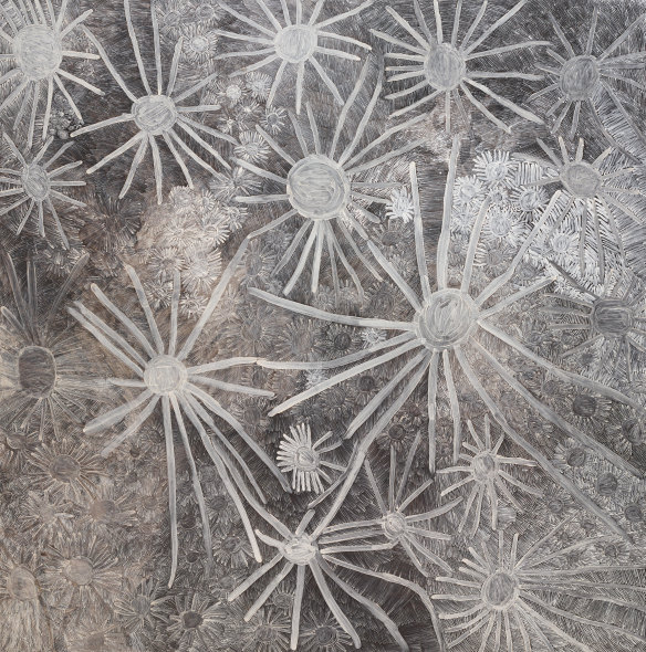 Wynne Prize winner Nyapanyapa Yunupiŋu’s Garak – Night Sky.