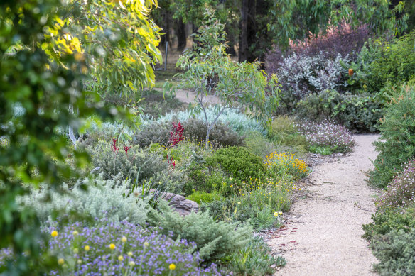 A low-maintenance mix of native and indigenous species in a Bells Beach garden that Shaw designed.