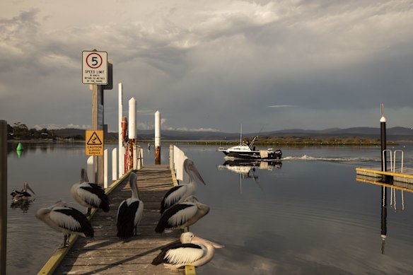 Mallacoota Wharf.
