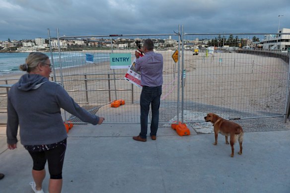 Bondi beach prepares to reopen.