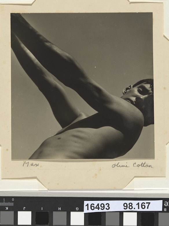 Max, c.1935, by Olive Cotton. Gelatin silver photograph. National Gallery of Australia, Canberra. Purchased 1998.