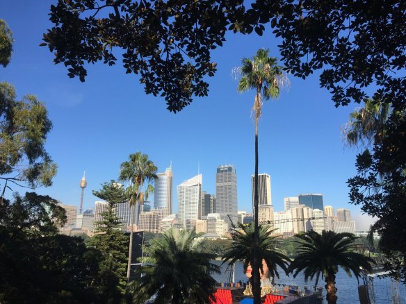 The City of Sydney is aiming to lift the amount of tree cover from about 18 per cent now to 27 per cent by mid-century as part of its effort to reduce the heat-island effect and bring other benefits to residents.