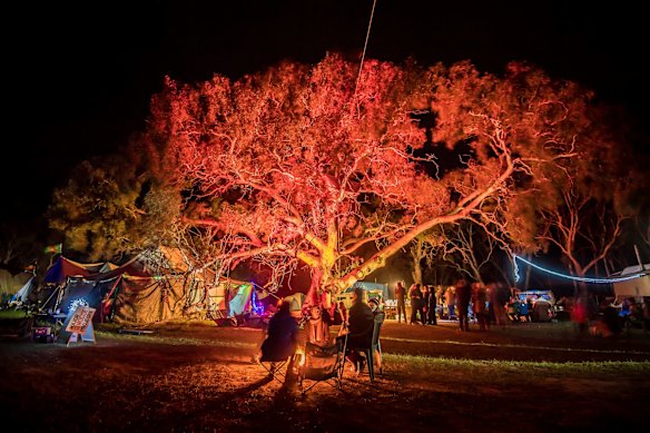 Grandfather tree at the Djab Wurrung Embassy camp is the companion of the Birthing tree or Grandmother tree. Birthing trees have a companion called the Grandfather tree in Djab Wurrung culture, where their roots intertwine and are said to communicate.