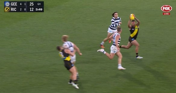 Geelong’s Tom Stewart has been sent to the tribunal after crunching Dion Prestia at the MCG on Saturday.