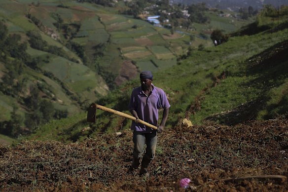 A farm worker plows land to plant onions in the Kenscoff neighborhood of Port-au-Prince, Haiti.
