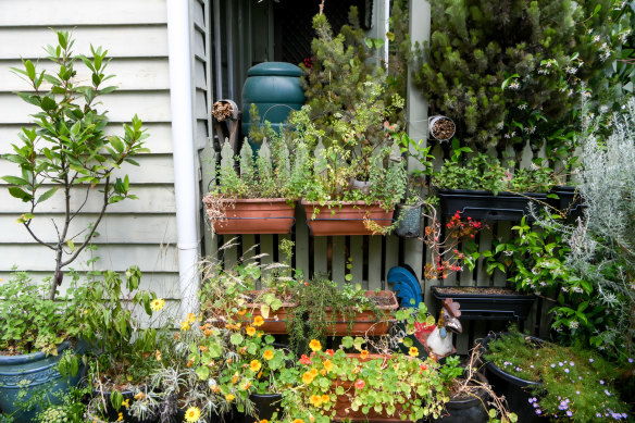 Part of the garden around Emma Cutting’s house, which she tends with her three-year-old daughter.