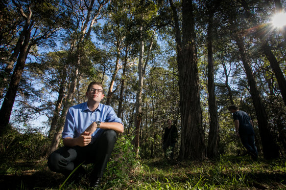 The City of Ryde mayor Jerome Laxale said the removal of trees to protect a pedestrian bridge from bird droppings was “absurd”. 