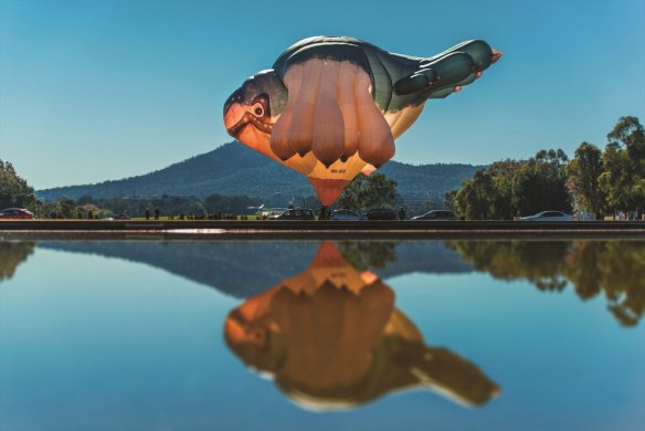 Skywhale by Patricia Paninni at Tarrawarra Museum of Art