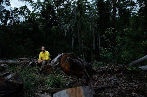 Dean Kearney, who is a senior manager for planning at Forestry Corporation in Coffs Harbour, in one of the areas which has recently been logged in NSW. 