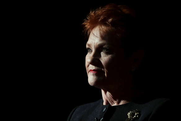 One Nation leader Pauline Hanson in Parliament on Wednesday. 