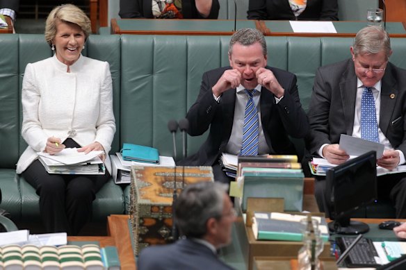 Leader of the House Christopher Pyne during a point of order during Question Time at Parliament House in Canberra on Wednesday 11 December 2013.