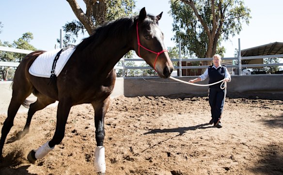 Guard Janelle Bowden with a retired racing horse used in an equine therapy program run by Racing NSW at St Heliers Correctional Centre in Muswellbrook, NSW.