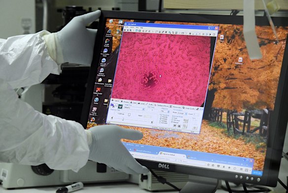 Associate Professor Stuart Turville, a virologist at the Kirby Institute, working temporarily at St Vincent's Centre for Applied Medical Research. He is analysing an antibody reaction with the COVID-19 Omicron variant.