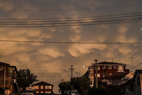 Sydney is set for a day of wind and rain.
