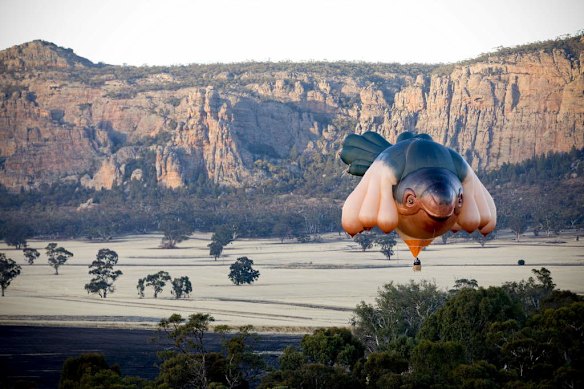 The Sky Whale Balloon for the Centenary OF Canberra Commission Commission. First flight of the Balloon.