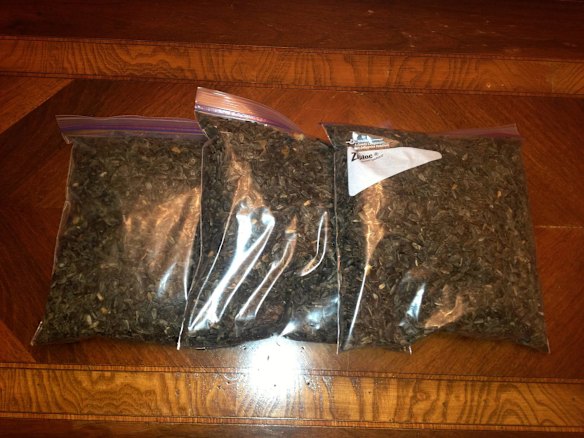 Bags of dried out sunflower seeds harvested by hand by Sydney Morning Herald chief correspondent Paul McGeough from the MH17 crash site on the outskirts of Rassypnoye in East Ukraine.