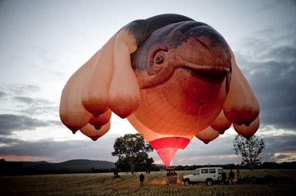 The Sky Whale Balloon for the Centenary of Canberra Commission Commission. First flight of the Balloon.