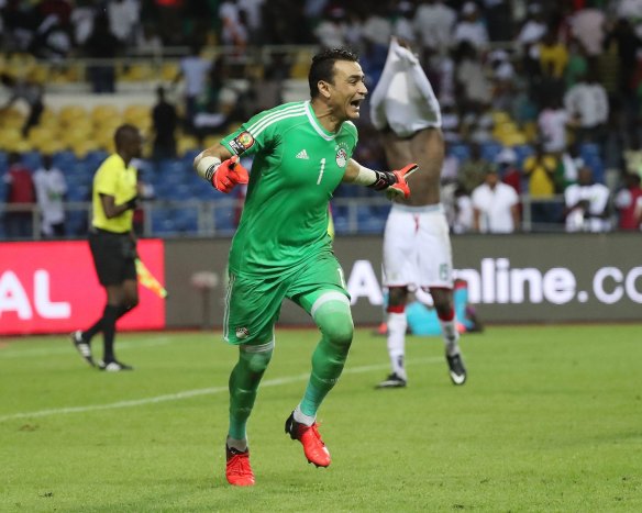 Elder statesman: Essam el-Hadary after Egypt won the Africa Cup of Nations in 2017.