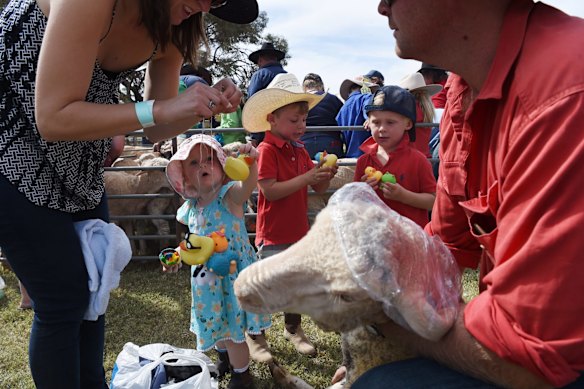 Booligal Sheep races