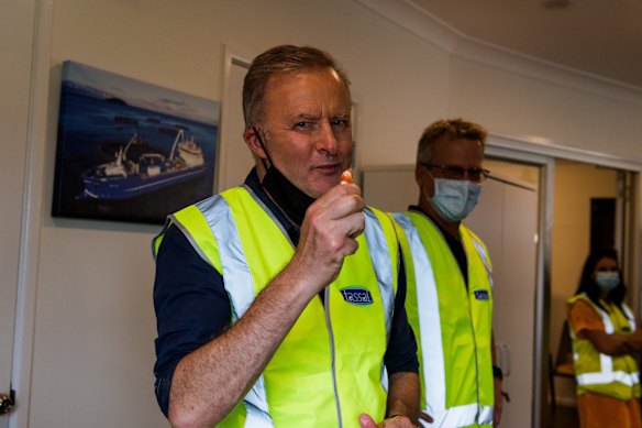Top pick of the prawns: Albanese at Tassal’s prawn farm in Proserpine.