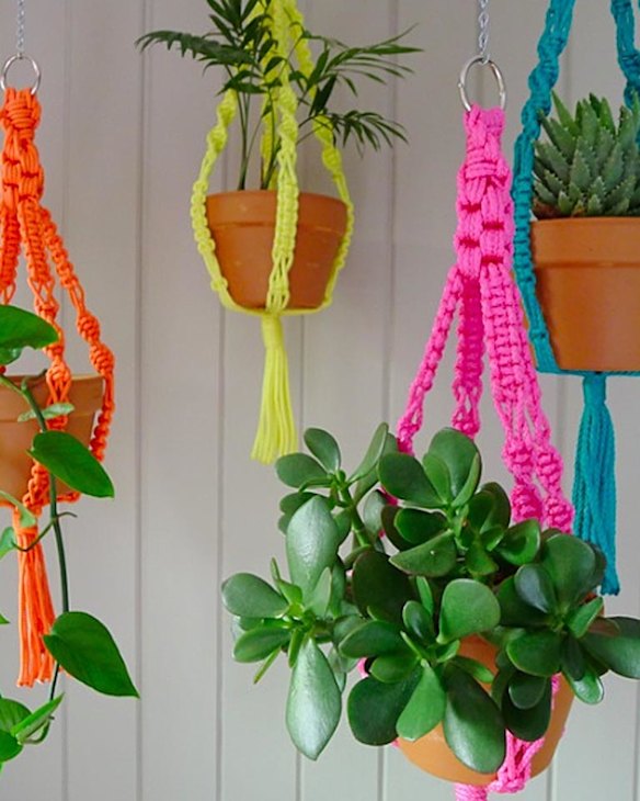 Hanging Pot Plants
