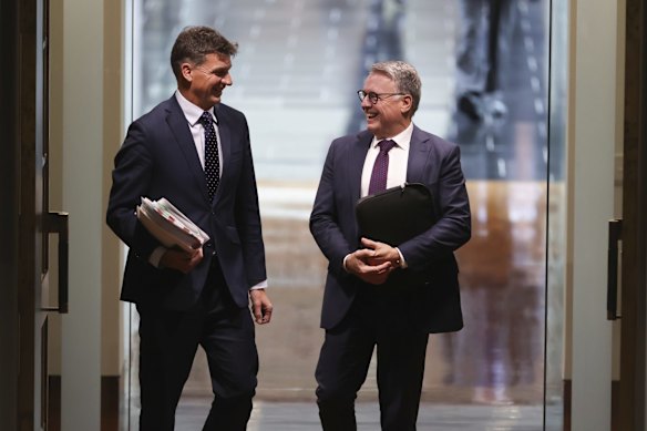 Energy and Emissions Reduction Minister Angus Taylor and Labor MP Joel Fitzgibbon arrive for question time on Thursday 3 June.