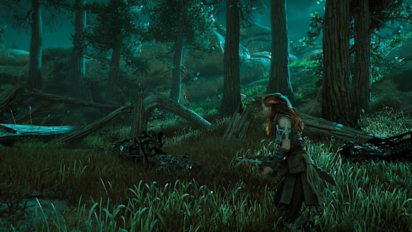 Exploring the woodlands at night.