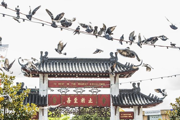 Fowler is a diverse electorate.