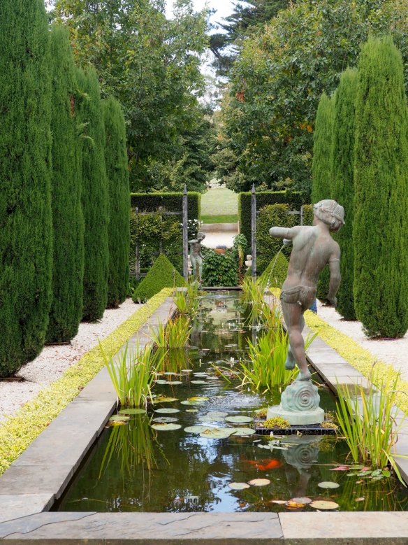 A peek behind the privet at Musk Farm