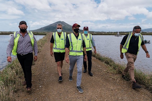 Labor leader Anthony Albanese (centre) with Labor Candidate for Dawson Shane Hamilton (left) and senator Murray Watt (second from right) visiting Tassal's prawn farm in Propserpine.