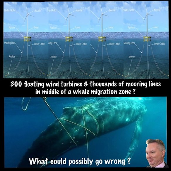 An example of a meme spreading disinformation about offshore wind found on social media. 