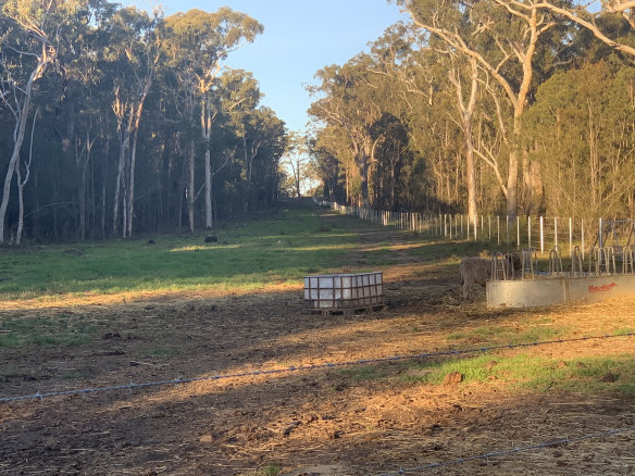 The site near Jervis Bay has now been cleared up and is ready to run stock or other farm activities on. 