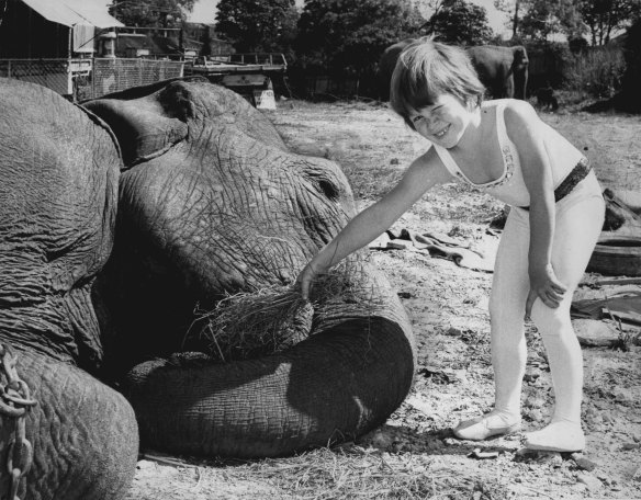 Jo “Peppy” Ashton, 6, pictured Abu the elephant on September 18, 1974.