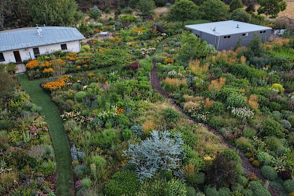 Ralph Bristow thinks of his garden as a community of plants living cheek by jowl