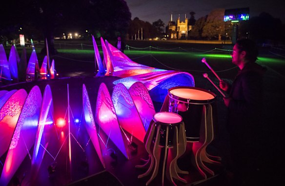 Vivid in the Royal Botanic Gardens.