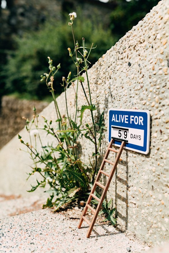 Pederson makes an exhibition out of a sidewalk weed.