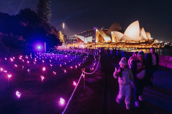 Lightscape at the Royal Botanic Garden Sydney.