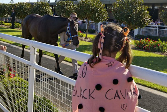 Lucy Scarlett checks out Black Caviar.