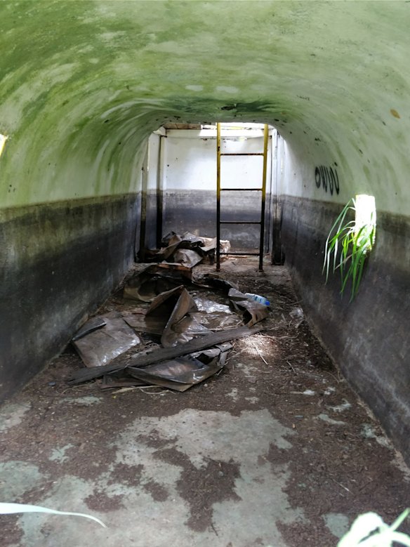 Magic Kingdom in ruins. 