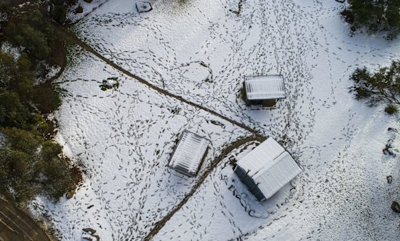 Footsteps in the snow as it blankets the ground at Black Springs. 